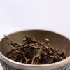 Anthopogon_U