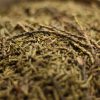 Green Juniper Co 2