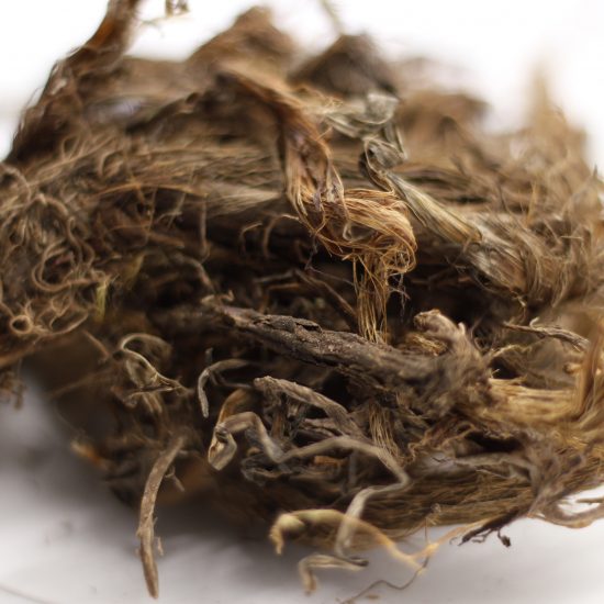 Spikenard_U 1